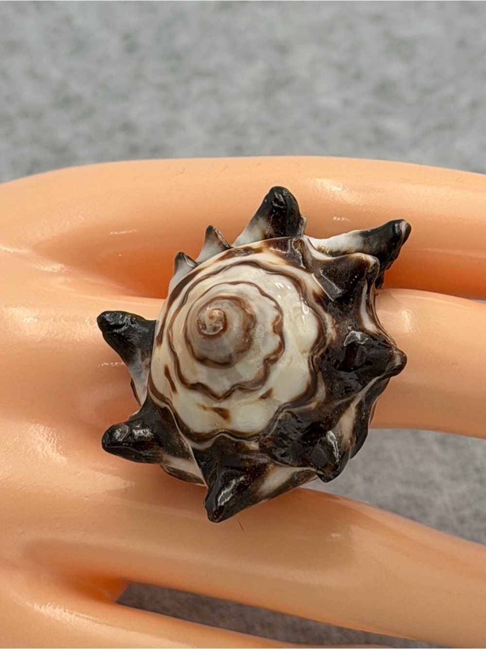 Vintage Carved Shell Whole Shell Ring Statement Ring Coastal Beach Nautical Boho